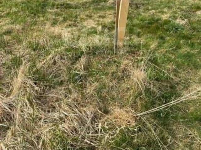 продажа загородная Остров улица Энтузиастов