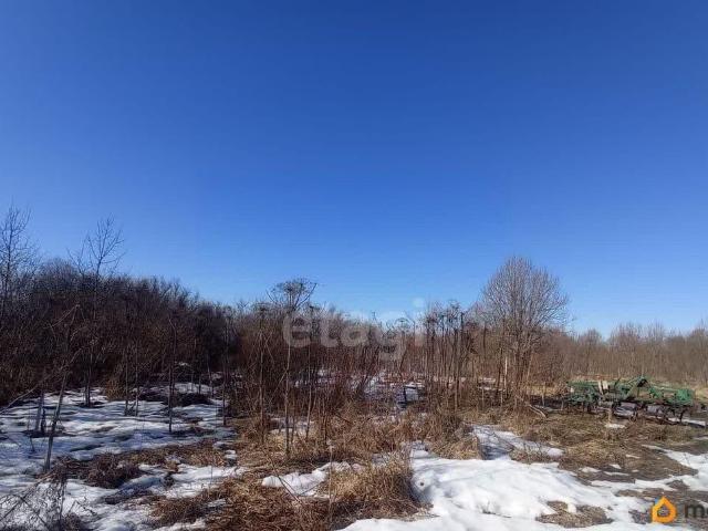 продажа загородная Остров улица Энтузиастов, 35