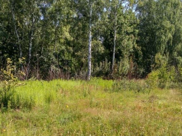 продажа загородная Ладушкин Молодежная улица