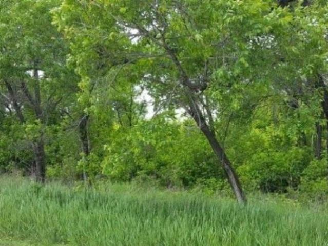 продажа загородная Лесозаводск Водная улица