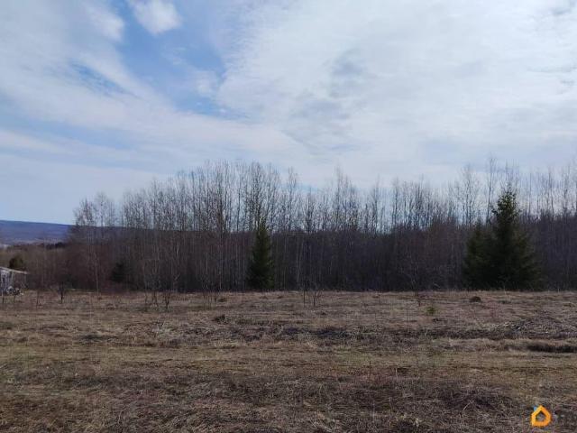 продажа загородная Лысьва Загородная улица