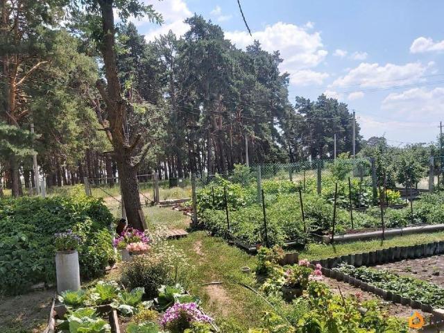 продажа загородная Михайловка переулок Солнечный, 4А
