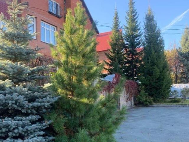 продажа загородная Новосибирск Уютная улица, 6