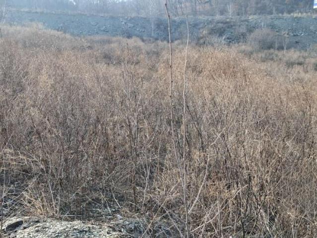продажа загородная Находка улица Видная