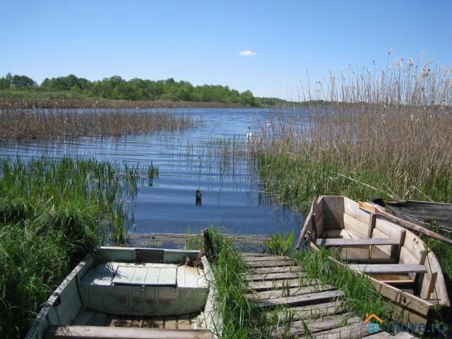 продажа загородная Невель ул. деревня Борьково