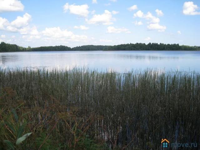 продажа загородная Невель ул. деревня Сигово