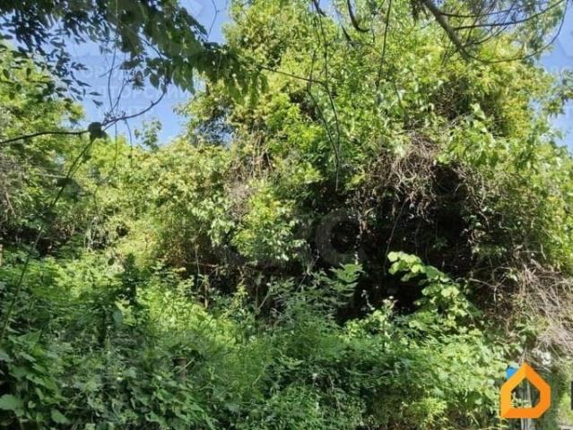 продажа загородная Сочи улица Яна Фабрициуса