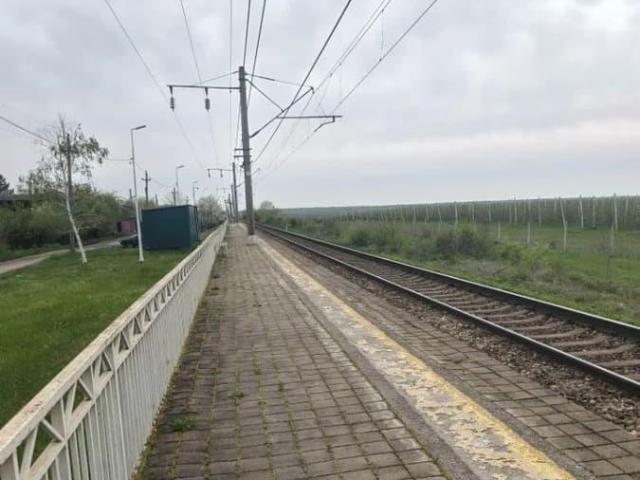 продажа загородная садовое неком е товарищество Дружба 14 улица Облепиховая