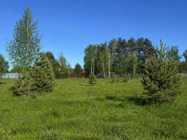 продажа загородная село Тетеево улица Речная