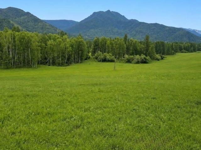 продажа загородная село Тихонькая Центральная улица