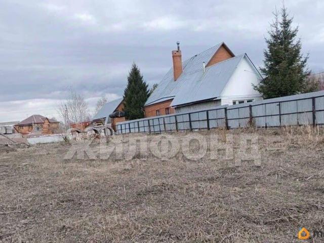 продажа загородная село Толмачево Молодежная улица