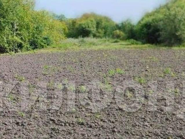 продажа загородная село Толстовка улица Комсомольская