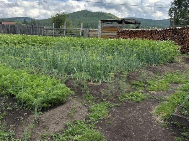 продажа загородная село Туим улица Пионерская