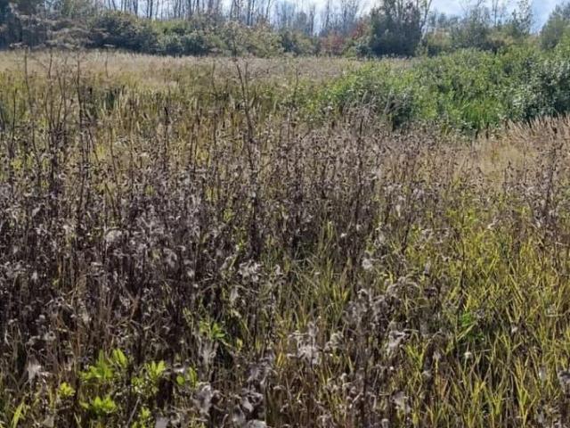продажа загородная село Убинское улица Лесная