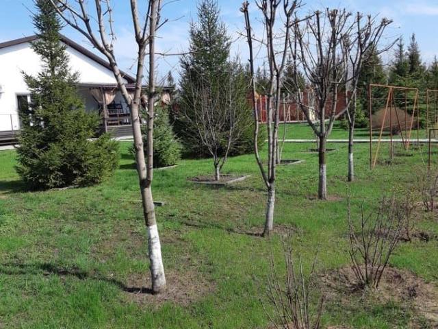 продажа загородная село Шумейка 21 я улица, 99