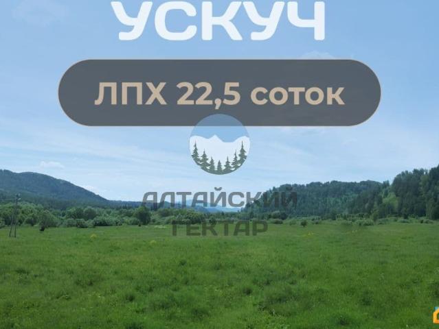 продажа загородная село Ускуч Лесная улица