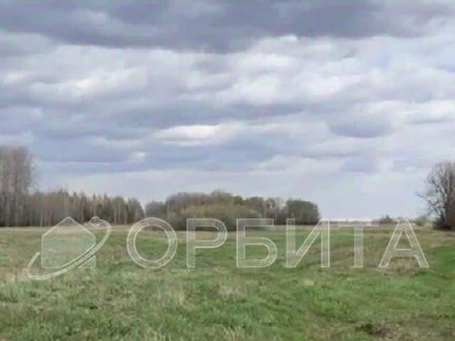 продажа загородная село Усть Ницинское улица Шанаурина, 29