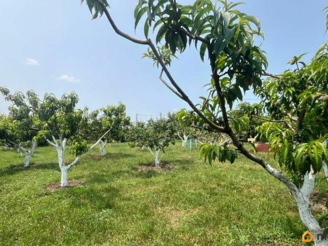 продажа загородная село Юровка улица Садовая