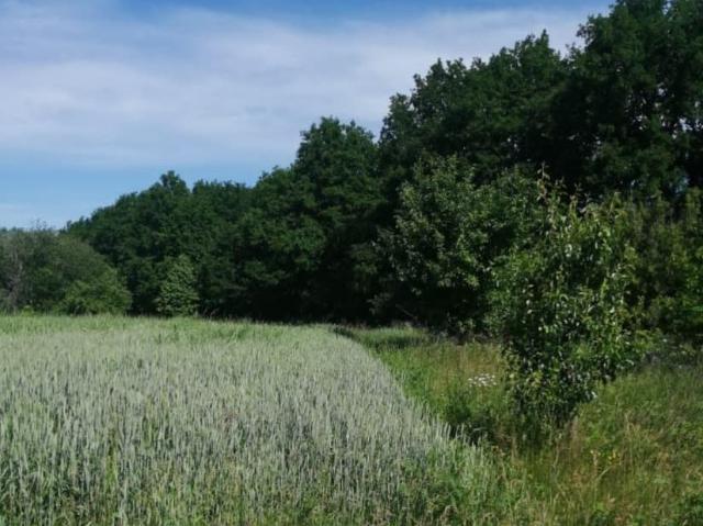 продажа загородная село Верхнекасиново улица Солнечная, 1Г