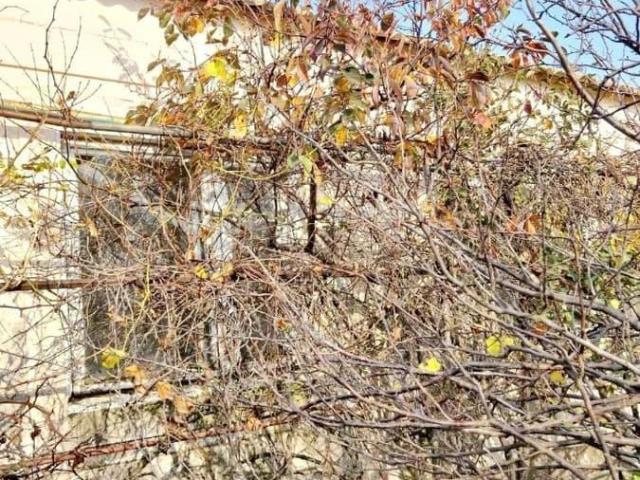продажа загородная село Веселое Школьная улица