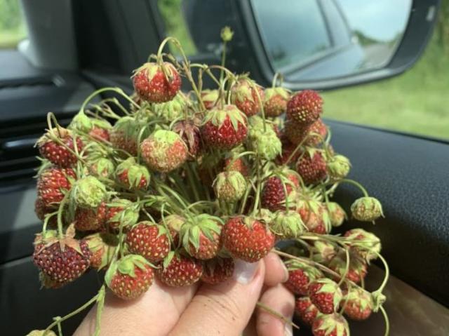 продажа загородная село Висловка улица Спортивная, 5