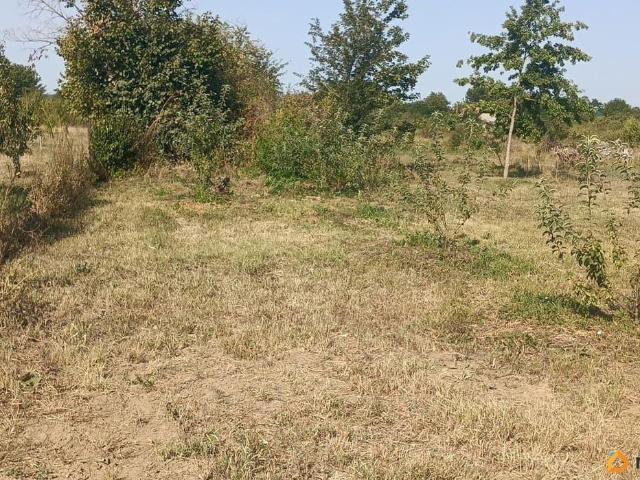 продажа загородная село Вольное улица Советская, 87