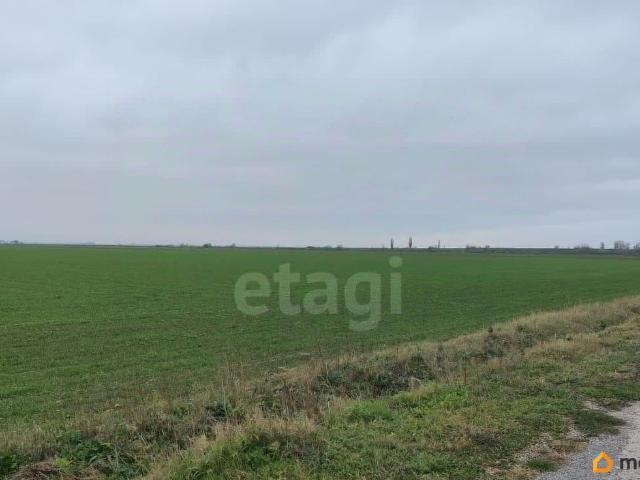 продажа загородная село Восточное улица Новая
