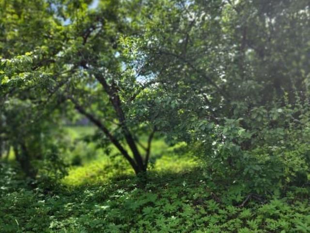 продажа загородная село Зарубино улица Зеленая