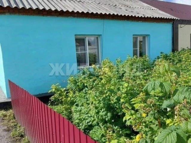 продажа загородная село Здвинск улица Трудовая