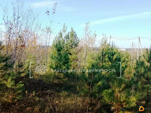 продажа загородная село Зоркальцево улица Никольская