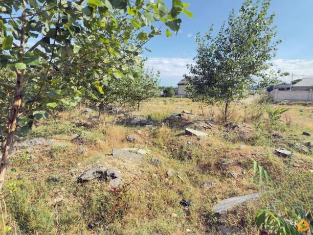 продажа загородная село Шалушка Береговая улица