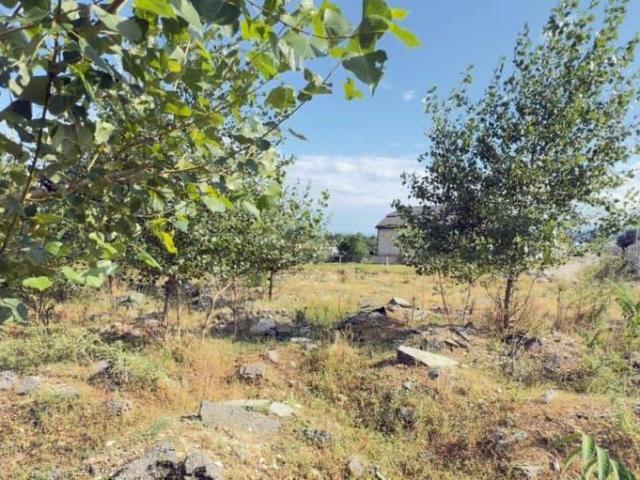продажа загородная село Шалушка Береговая улица