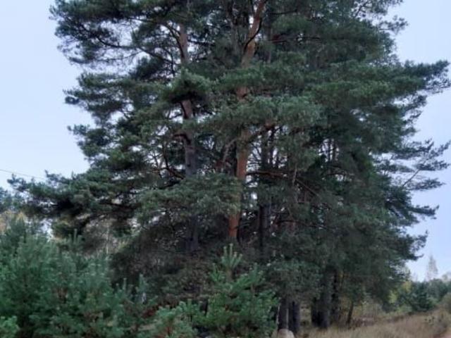 продажа загородная село Ямм улица Железнодорожная