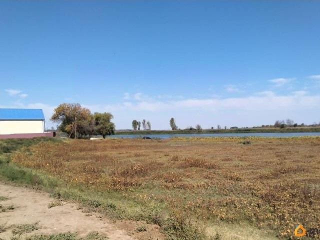 продажа загородная село Чапаево улица Пушкина, 2Е