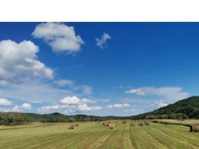 продажа загородная село Чапланово улица Речная