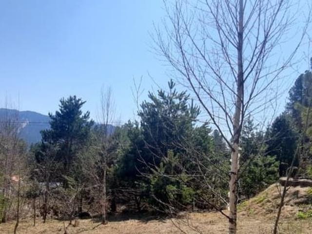 продажа загородная село Артыбаш Родниковая улица