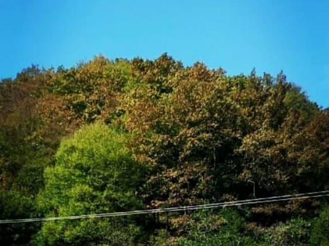 продажа загородная село Шаумян улица Исаакяна, 21А