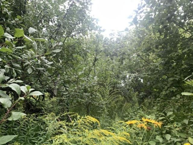 продажа загородная село Авчурино улица Заозерная