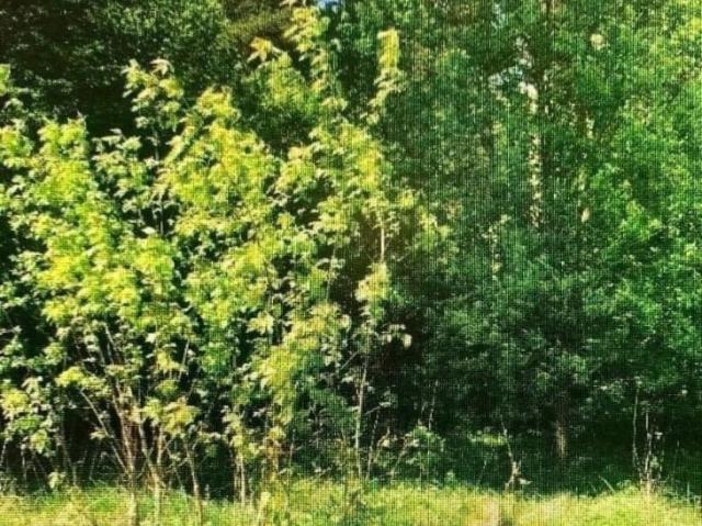 продажа загородная село Авчурино улица Заозерная