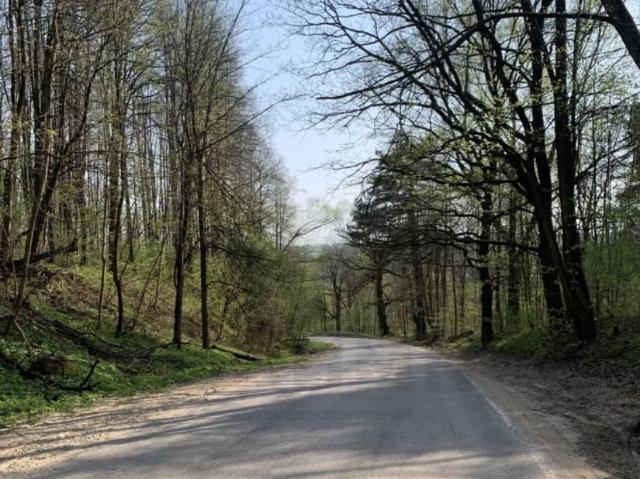 продажа загородная село Авчурино улица Центральная