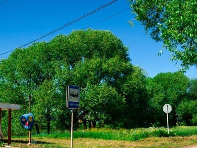 продажа загородная село Бабаево улица Виноградная