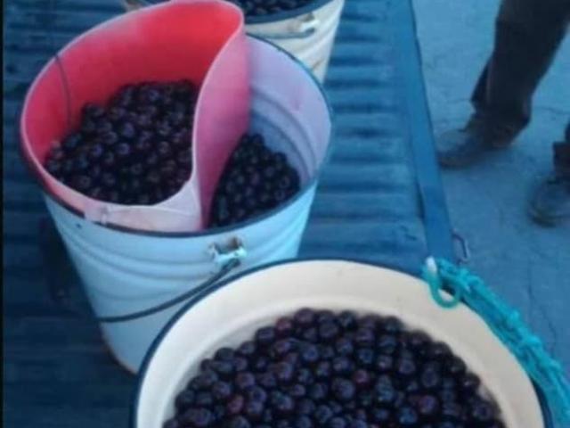 продажа загородная село Бармино Садовая улица