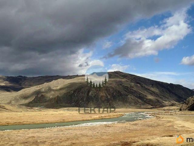 продажа загородная село Беляши улица Центральная