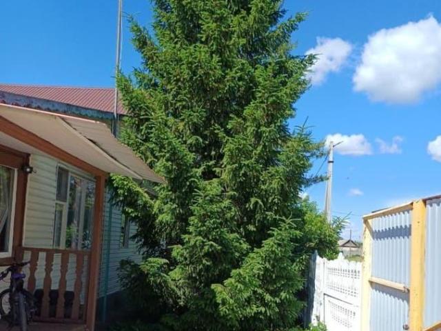 продажа загородная село Беляевка улица Школьная, 38Б