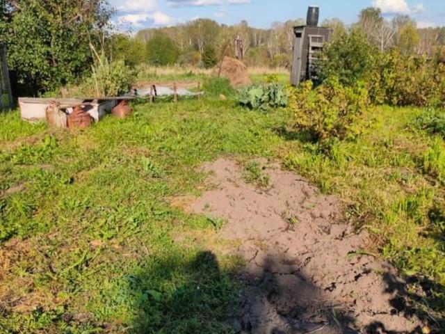 продажа загородная село Березовка переулок Большевистский, 4