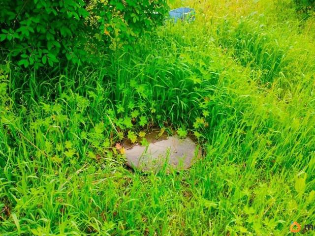 продажа загородная село Бичевая Школьная улица, 75