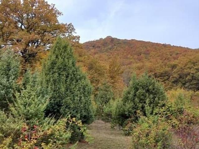 продажа загородная село Богатое Ущелье улица Горная, 31