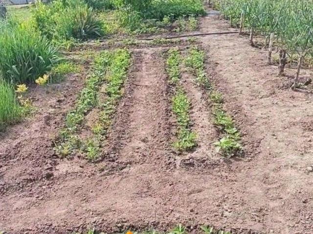 продажа загородная село Богдановка улица Дубиновка, 36
