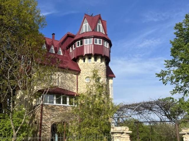 продажа загородная село Большая Липовица улица Коноплиновка