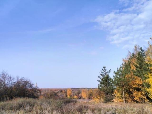 продажа загородная село Большая Липовица улица Лесная